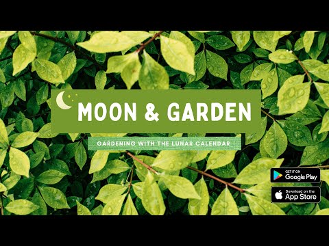 Moon & Garden Video