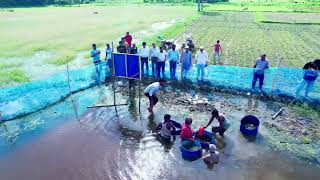 দেশীয় প্রজাতী প্রকল্পের আওতায় কার্যক্রম
