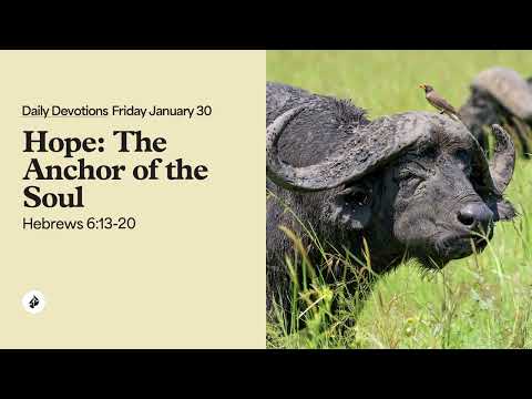 Hope: The Anchor of the Soul – Daily Devotional