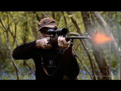 Roebuck Hunting in May