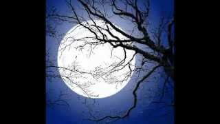 Ricardo Arjona - Dejame decir que Te Amo.mpg