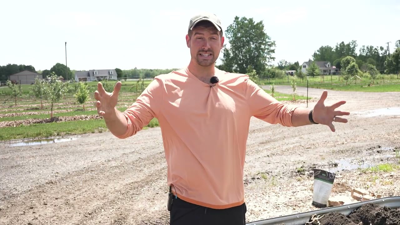 Grow POTATOES Now When Everyone Says It Is TOO LATE!