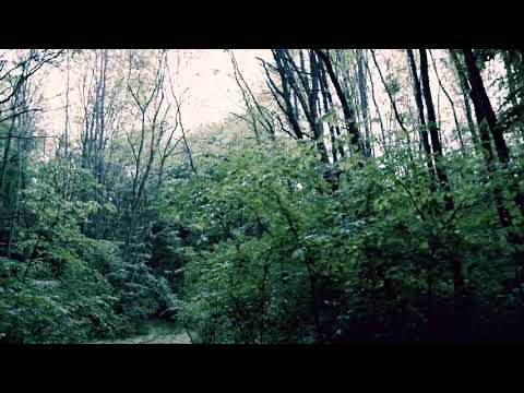 Larisa Anton -Sant un Pribeag