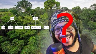(E se) Mano Deyvin explicando Árvore B!!