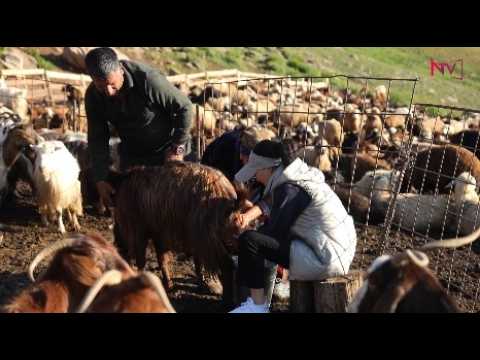LƏZZƏTİN İZİ İLƏ - OBADA 25.07.2026
