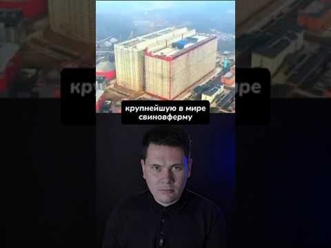 СВИНОСКРЁБ в 26 Этажей в КИТАЕ