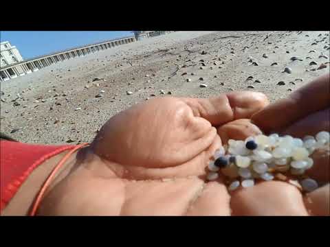 Plastic Pellets on the beach (Ostend, Belgium)