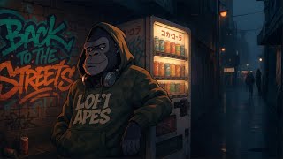 Back to the Streets  Smooth 90s Hip-Hop Beat with Soulful Scratch Cuts
