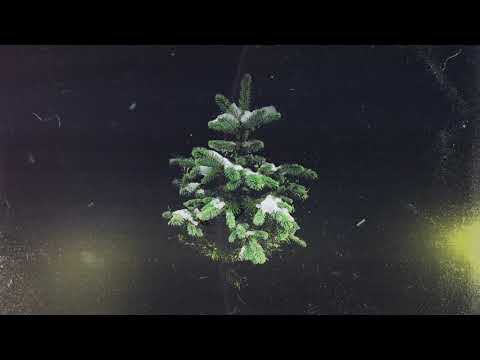 Matt Van - Conifer (Direct & Mr FijiWiji Remix)