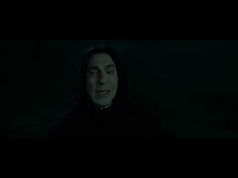 Don't kill me - Harry Potter and the Deathly Hallows: Part 2