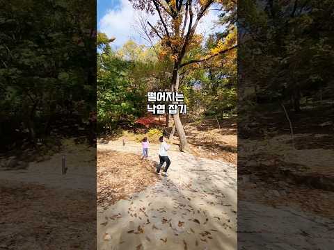 가을에 할 수 있는 떨어지는 낙엽잡기 놀이