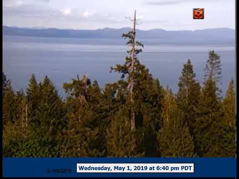 18:15 Eagle on BST 18:39 off BST left  Gulls heard  18:44eagle found on GHT