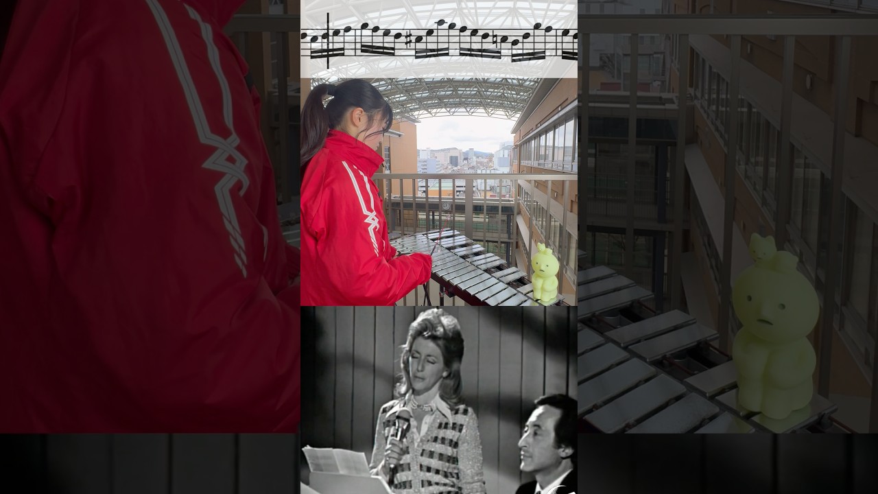 グロッケン超絶チャレンジ❤️‍🔥 Paganini Moto Perpetuo Op 11 Nora Orlandi #吹奏楽 #グロッケン #打楽器 #パーカッション