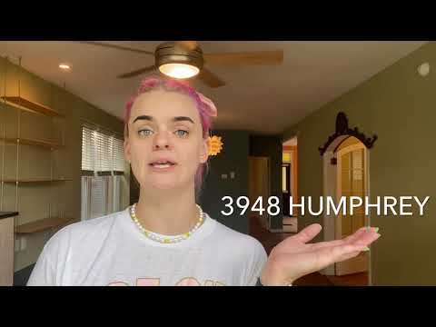 Confetti Cannon of Cute property video