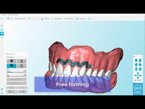 Zfx Baltic Denture System