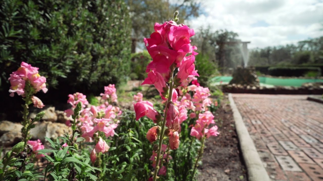 Ravine Gardens State Park In Palatka Fl Visit Florida