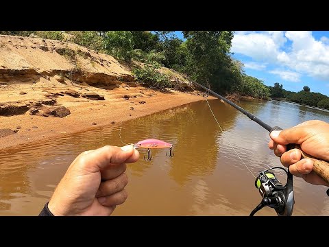 CLASSIC BASS FISHING WITH MICRO LURES. Urban Fishing, the reel sang.