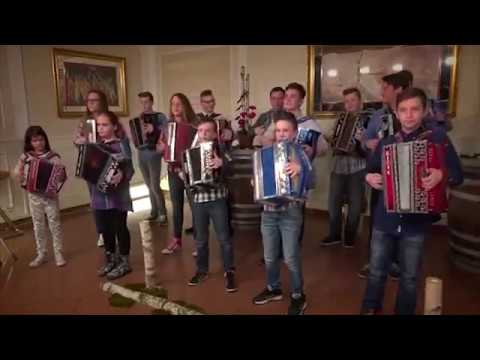 HARMONIKARSKI ORKESTER ANDREJA BAJUKA - ČEBELAR