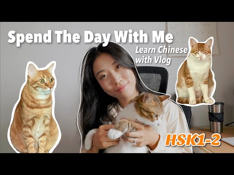 Beginner Chinese Listening Practice | HSK1-2 | Real Life Chinese | Slow Chinese