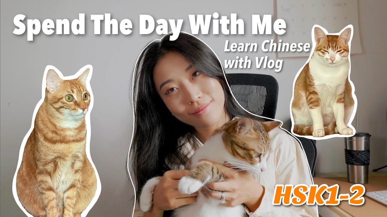Beginner Chinese Listening Practice | HSK1-2 | Real Life Chinese | Slow Chinese