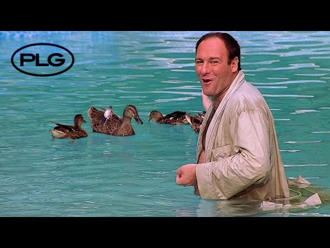 [FREE FOR PROFIT] EARL SWEATSHIRT X THE ALCHEMIST TYPE BEAT - DUCK