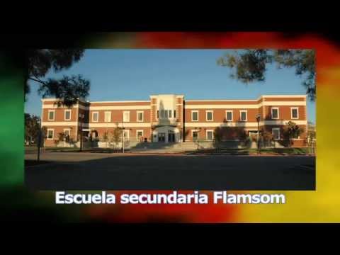 DV74B03 CincodeMayo Flamson