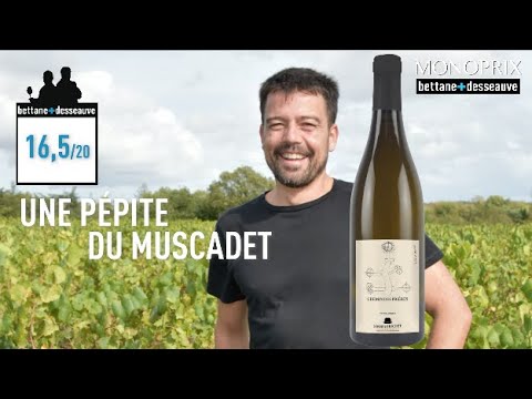 [FAV Monoprix] Yves et Jérémie Huchet, Chemin des Prières, muscadet blanc 2019