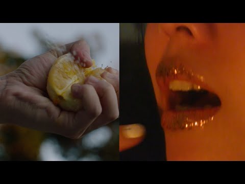 Ori Rose - First High (Visualizer)