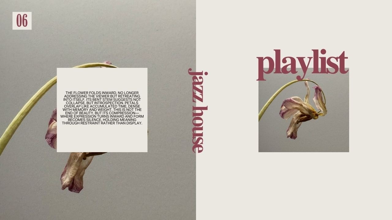 Smooth Jazz House Mix | Deep Grooves for Cafés, Hotels & Rooftops #6