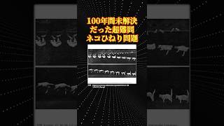 物理の未解決問題「ネコひねり問題」