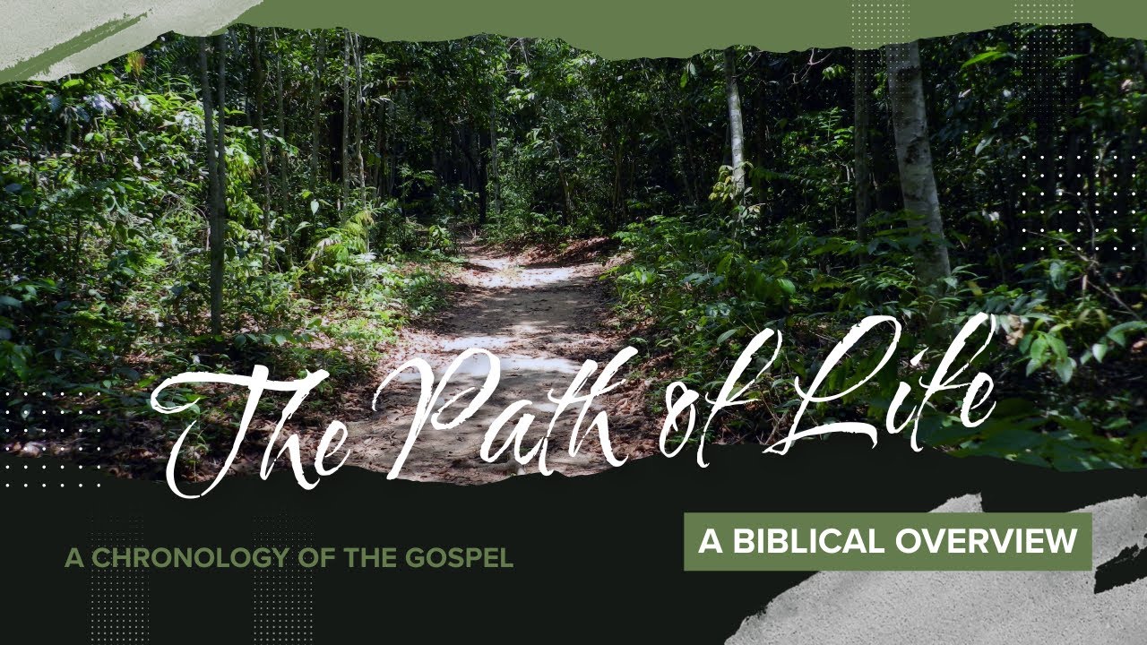 Destruction of Life #4 of 8