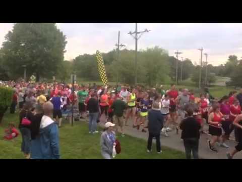 Paws on the Pavemeny