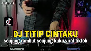 Download lagu DJ SEUJUNG RAMBUT SEUJUNG KUKU REMIX VIRAL TIKTOK TITIP CINTAKU ONA SUTRA TERBARU 2022 mp3