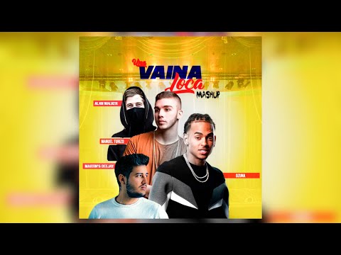 FADED X VAINA LOCA 🔥 - Alan Walker x Ozuna & Manuel Turizo (Martins Mashup)