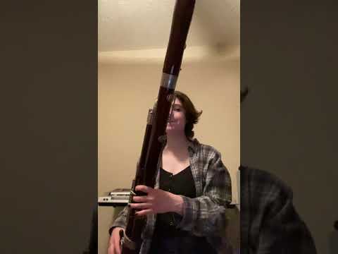 Bassoon final pt.2