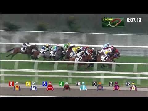 銀   馳    21/02/28……(469)第十塲三班1400米