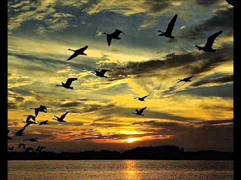 Rauda Rauda Jesús Avila 432 Hz