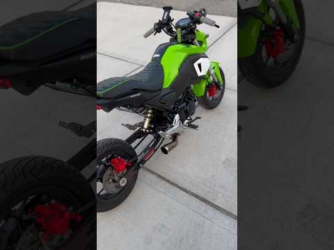 10k rev limiter!! Honda Grom!! #shorts #fyp #hondagrom #DHM