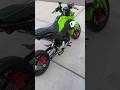 10k Rev Limiter Honda Grom Shorts Fyp Hondagrom DHM