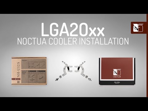 Video 6