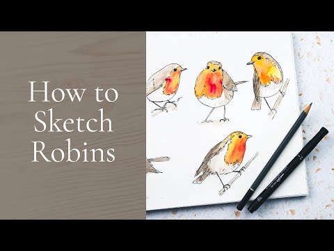 Line and Wash Robins | How to Sketch Birds