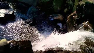 preview picture of video 'Mookana Mane Abbi Falls (Waterfall), Sakleshpur, Karnataka'