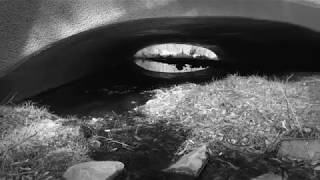 Bats- Looking for Sunshine Music Video Cover