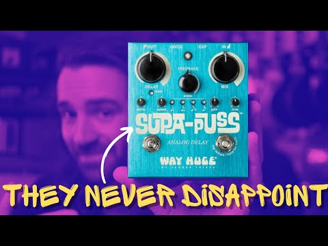 Way Huge WHE707 Supa-Puss Analog Delay 2013 - 2021 - Blue image 5