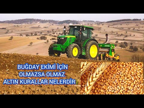 , title : 'BUĞDAY Ekmeden Kesin İzleyin🌾Dekara Buğday Nasıl Ve Ne Zaman Ekilir🌾Buğdaya Hangi Gübreler Atılır'