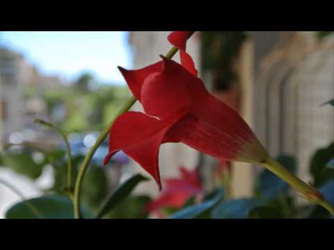 Ottobre a Civitanova Marche