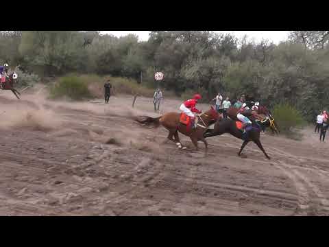 DON LEO  Club Hipico  "Riveras Neuquinas" - Vista Alegre - 02-04-2023