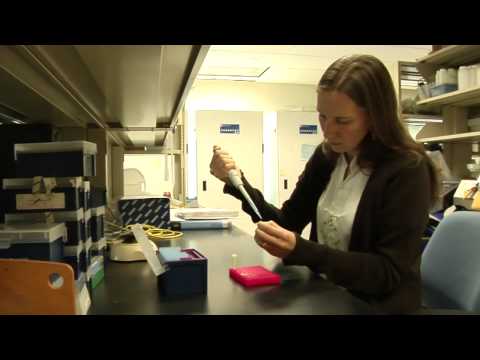 Nyree Zerega-Chicago Botanic Garden