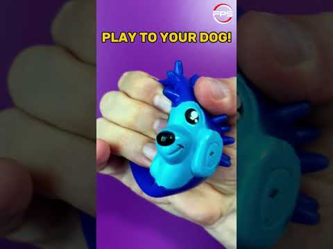 Squeaky Toy Sounds For DOGS  #dogsounds #toy #petsounds