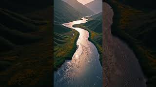 888 Hz | Música para Atrair Desejos | Prosperidade Infinita